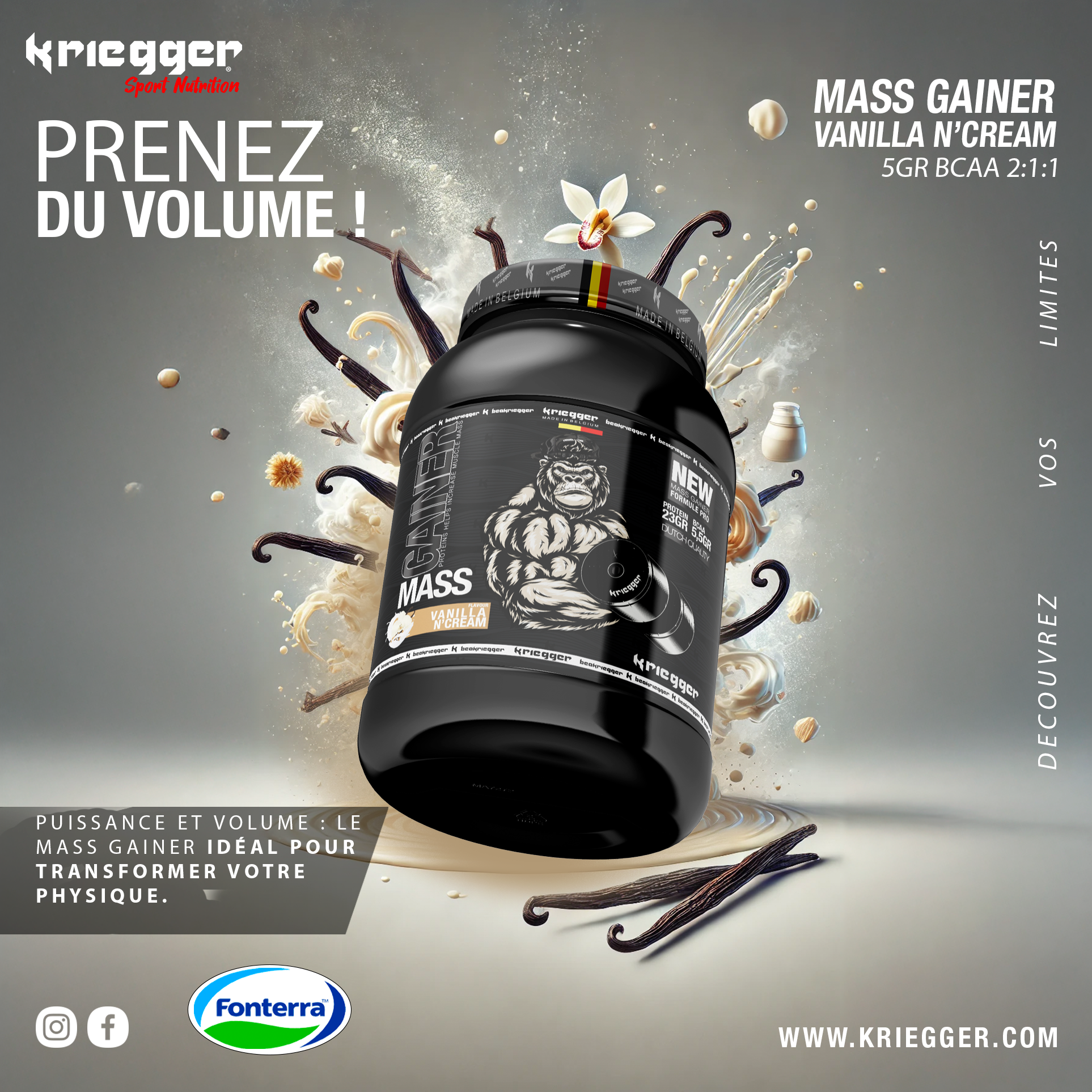 MASS GAINER