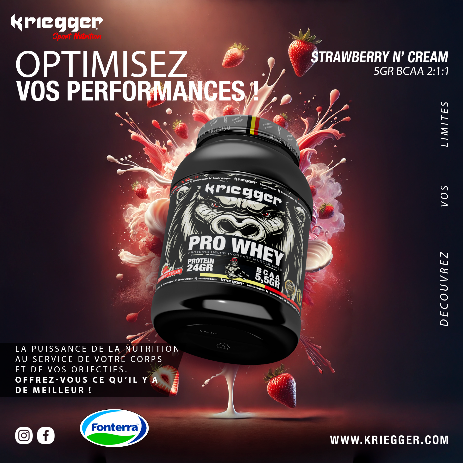 PRO WHEY PROTEIN